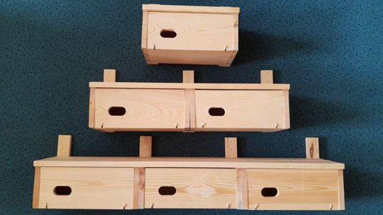 Te ptaki mają duży apetyt na komary. Można dostać budkę lęgową 