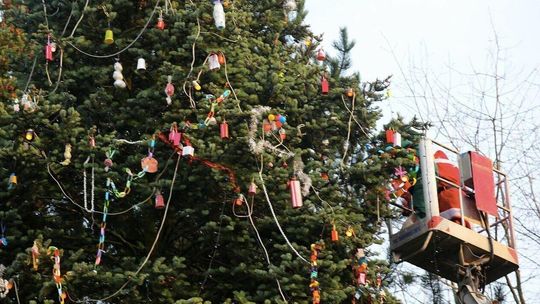 Tego dnia przyjdą mieszkańcy osiedla i wspólnie ubiorą wielką choinkę