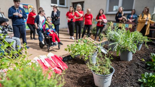 Tego jeszcze nie było. Powstał pierwszy w mieście ogród społeczny