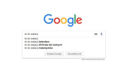Tego szukaliśmy w Google w 2018 roku. Najpopularniejsze hasła