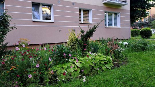 Telewizor za najpiękniejszy ogród. Mieszkańcy wybiorą 