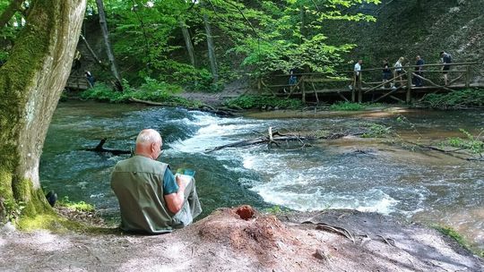 Ten bon okazał się hitem w Podlaskiem. Lubelskie nad tym pracuje 