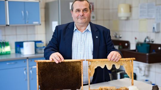 Ten wynalazek może zrewolucjonizować rynek pszczelarski. Do czego służy woskomat?
