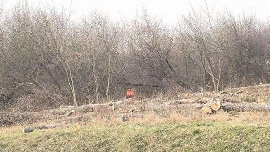 Teraz wycinka, później budowa. Co powstanie przy ul. Głębokiej w Lublinie?