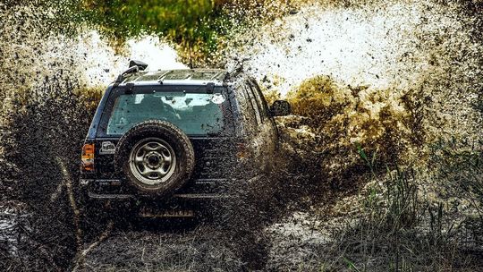 Terenówki rozjeżdżają łąki nad Bugiem. Mieszkańcy: „Może postawić znaki zakazu”