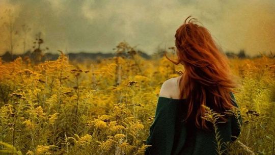 Tereny zielone w mieście. Spotkanie z prof. Ewą Trzaskowską