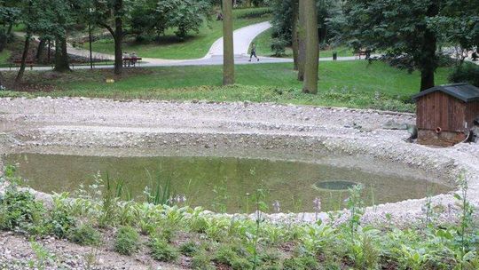 Testują staw w Ogrodzie Saskim