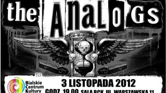 The Analogs w Białej Podlaskiej