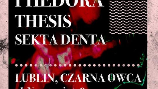Thesis, Phedora i Sekta Denta w Czarnej Owcy
