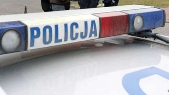 Tłukła kijem w cudzy samochód. Chciała wystraszyć psa