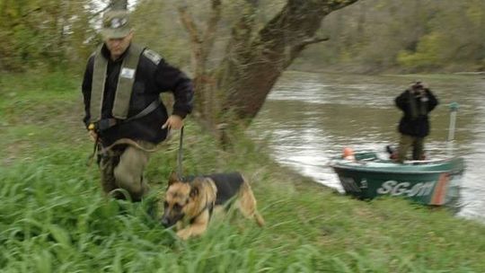To Amigo wytropił mężczyznę, który uciekł policjantom