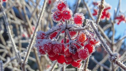 To będzie zimna noc, a potem do Lublina przyjdzie prawdziwy mróz