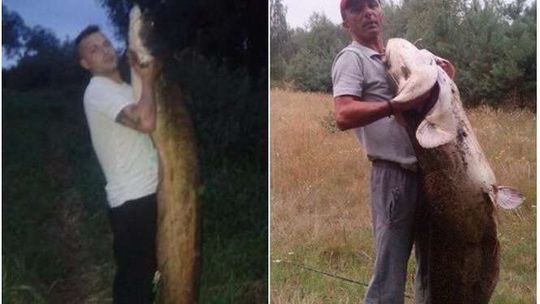 To był dzień wielkich połowów. Gigantyczne sumy złowione w tej samej okolicy