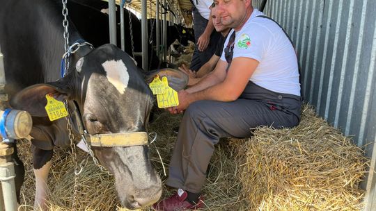 To jak raj dla rolników i nie tylko. Wystawa w Sitnie już w ten weekend