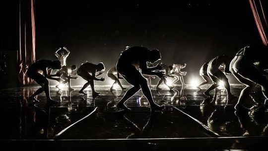 "To jest jak zakon, sekta taneczna". Kibbutz Contemporary Dance Company wystąpi w Lublinie