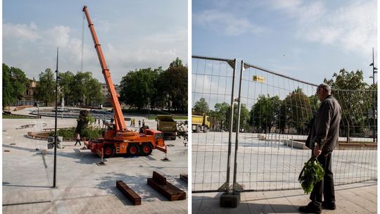 To już pięć lat jak go nie ma. Rocznica wycięcia Baobabu na placu Litewskim