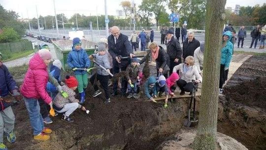 To miał być następca Baobabu. Dąb 700-lecia już rośnie, ale nie na pl. Litewskim