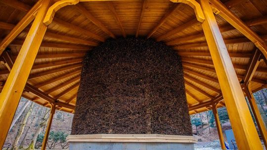 To może być hit rekreacyjny nad Krzną. Pierwsza w mieście tężnia 