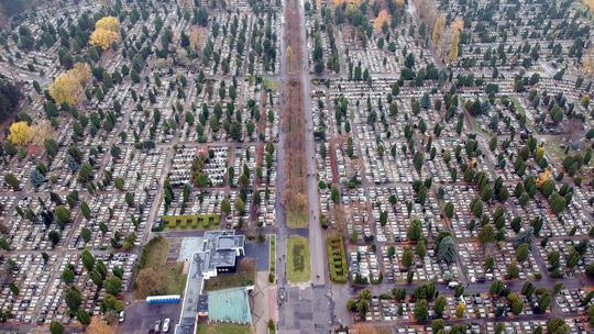 To największy cmentarz w regionie, pochowano tu ponad 60 tys. osób. Nowa inwestycja