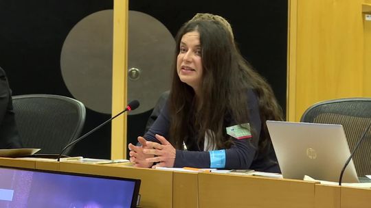 "To nie kryzys, to katastrofa”. Dyrektor ZOO w Poznaniu pokazała w Brukseli film o fatalnym traktowaniu tygrysów