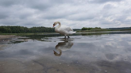 To urokliwe miejsce wkrótce może zniknąć. Popularne stawy wysychają, turystów coraz mniej