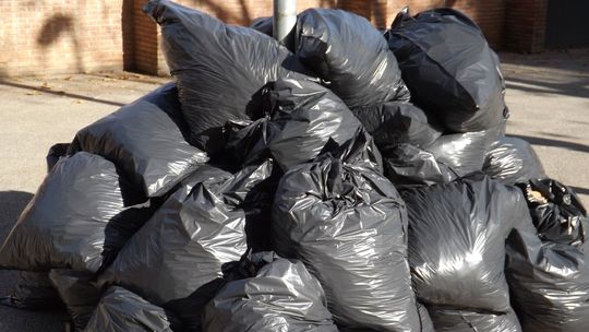 Tomaszów Lubelski. Czas na wielkie sprzątanie miasta. Śmieci wywiozą gratis