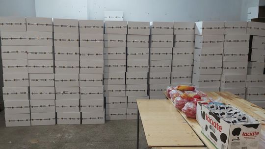 Tomaszów Lubelski. Rycerze szykują wielkanocne paczki dla ubogich