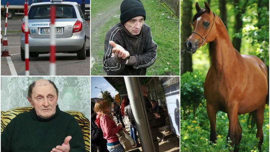 TOP 20 najczęściej czytanych tekstów na naszym portalu w marcu