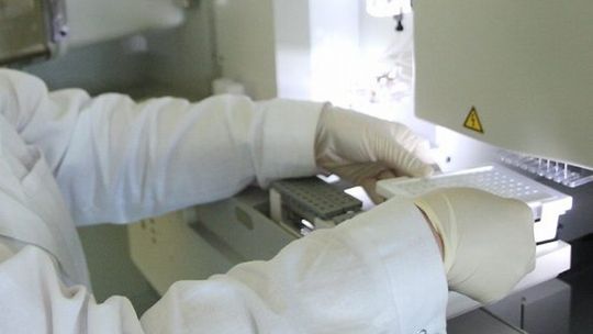 Top 500 Innovators. Naukowcy z Lublina wyjadą na zagraniczne staże