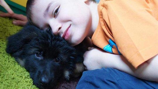 Toretto psim terapeutą we Wspólnym Świecie