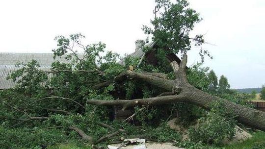 Tornado przeszło nad Świętokrzyskiem. Są ogromne straty