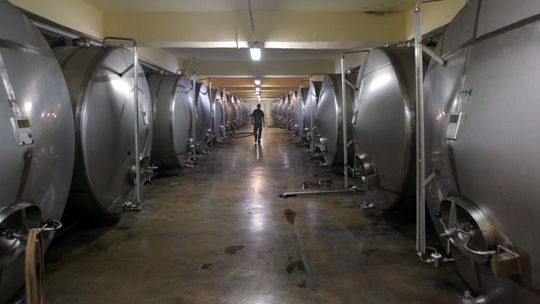 Toskania ma wino, Belgia piwo, a Lublin miody pitne