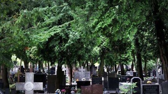 Tragedia na cmentarzu przy ulicy Lipowej w Lublinie