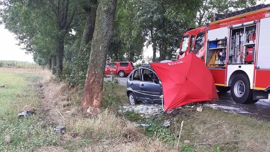 Tragedia na drodze. Citroen uderzył w drzewo i stanął w ogniu