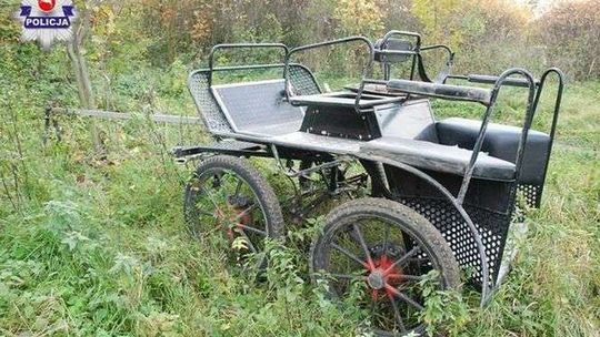 Tragedia na łące. Wywróciła się bryczka, nie żyje 67-latek 