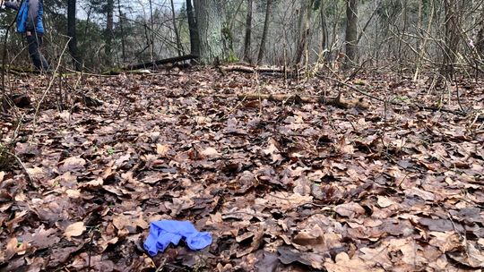 Tragedia w gęstym lesie. Zabił córeczkę, potem siebie. "Był takim troskliwym ojcem"