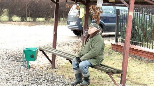 Tragedia w Kraczewicach. Policjanci złapali cztery psy