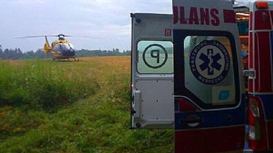 Tragedia w lesie. Zawodowy pilarz zginął podczas wycinki