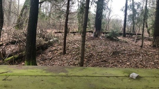 Tragedia w leśnej głuszy. Dziewczynka zabita nożem, ojciec się powiesił