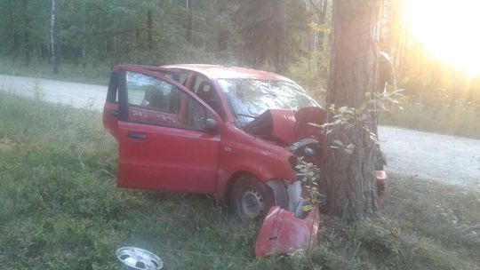 Tragedia w Sobiborze. Kobieta wjechała w drzewo