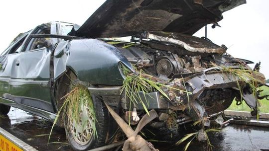 Tragiczne wypadki na drogach. Kierowca wypadł z auta, nie miał zapiętych pasów