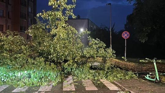 Tragiczny bilans nawałnic. Dwie osoby nie żyją. Jest wiele zniszczeń [wideo]