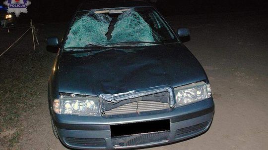 Tragiczny wypadek koło Radzynia. Nie żyje pieszy