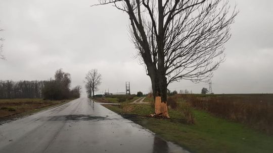 Tragiczny wypadek. Samochód uderzył w drzewo i stanął w ogniu. 19-latka nie żyje