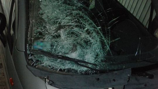 Tragiczny wypadek w Starym Zamościu. Sprawca zatrzymany