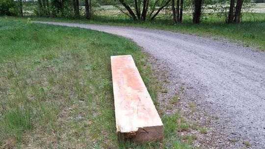 Trasa dla rowerzystów, raj dla złodziei. Ktoś ukradł duży jesionowy bal 