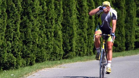 Trasa rowerowa: Centralny szlak rowerowy Roztocza