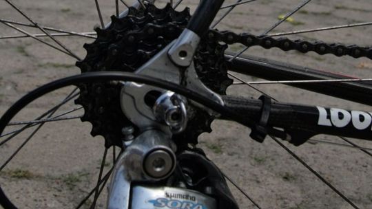 Trasa rowerowa: Szlak przez Sobiborski Park Krajobrazowy