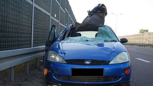 Trasa S-12: Zderzenie forda z łosiem. Dwóch mężczyzn rannych