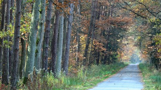 Trochę ciepłego lata tej jesieni. Meteorolog UMCS: Ostatni raz tak było w 2013 roku